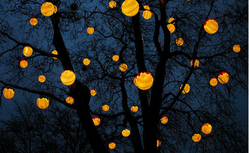 你的爱情生日花是…